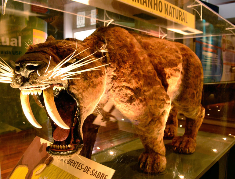 Museus