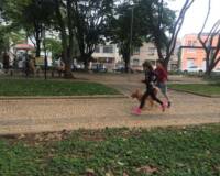 Conviver