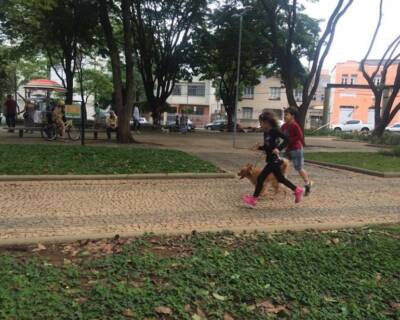 Conviver